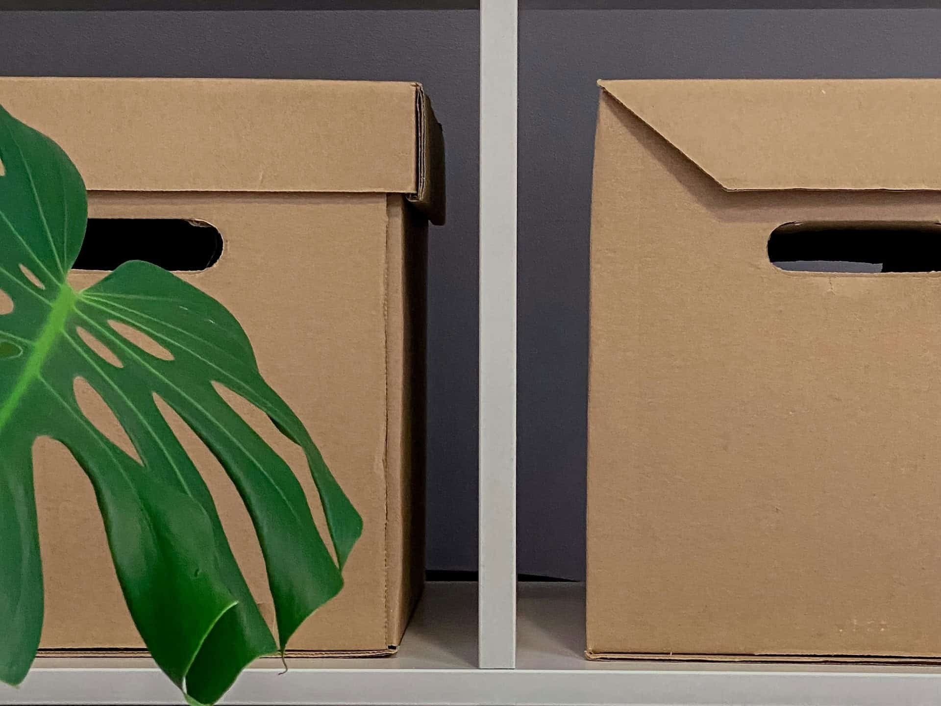 Moving Internationally? Here Are Five Things You Need to Know